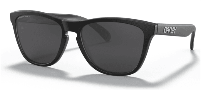 Oakley - Frogskins Mix Polarized Sunglasses - Discounts for Veterans, VA  employees and their families!