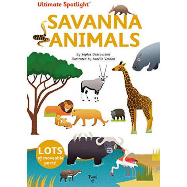 Maison Baby Kids University Games Ultimate Spotlight Savanna maison-baby-kids-university-games-ultimate-spotlight-savanna