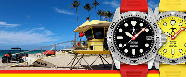 Hawaiian Lifeguard Association - Discounts for Military & Gov't | GOVX